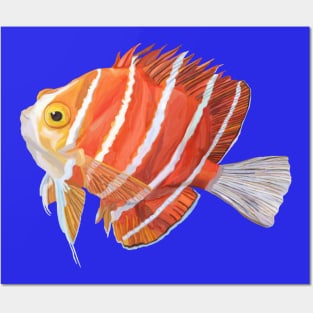 Watercolor Striped Angelfish Posters and Art